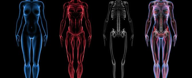 What’s Your Body Composition- Are You Thin Obese?