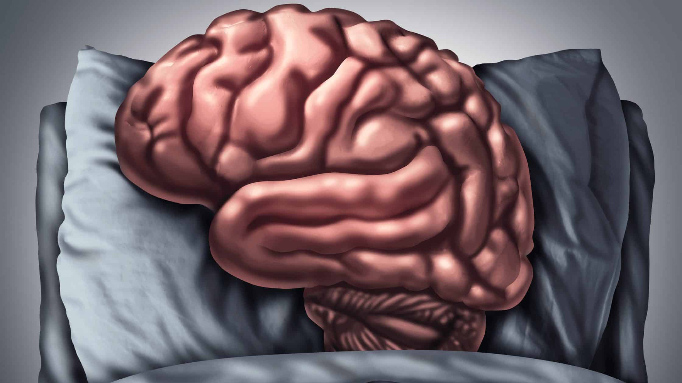 Graphic of a brain being tucked into a bed laying on a pillow