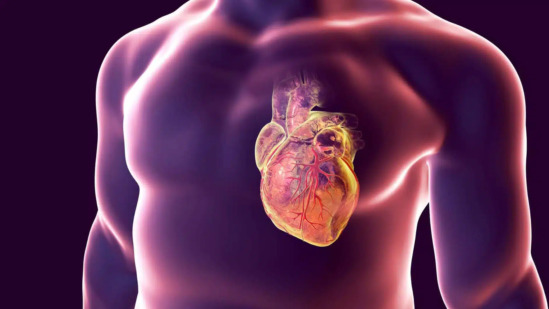 Is Testosterone Safe for Heart