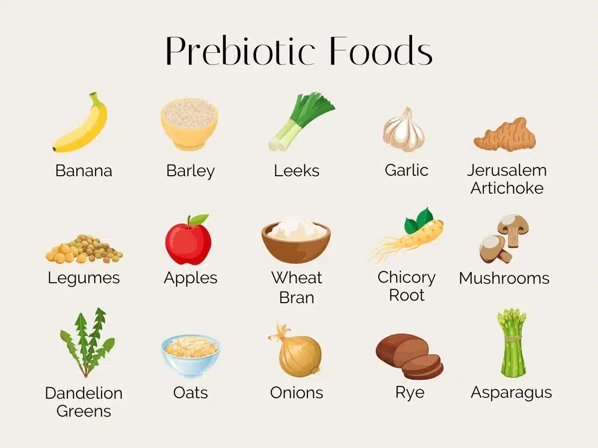 Prebiotic foods