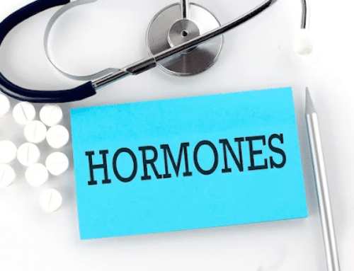 Holiday Hormone Survival Guide