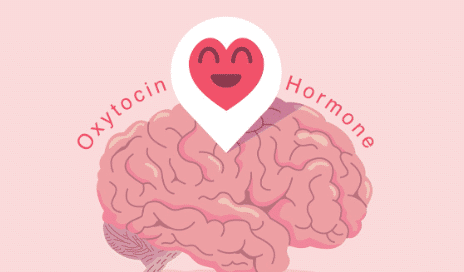 Oxytocin Hormone